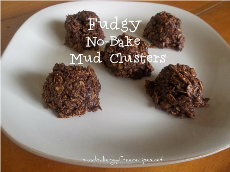 Fudgy-No-Bake-Mud-Clusters-1024x764