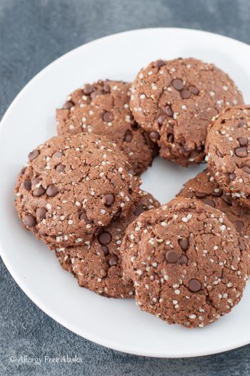 Paleo & Vegan Double Chocolate Protein Cookies Recipe from Allergy Free Alaska. Nut-Free, Egg-Free, Soy-Free