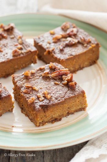 Gluten Free Dairy Free Pumpkin Pie Bars