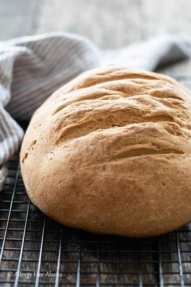 Gluten Free Bread Allergy