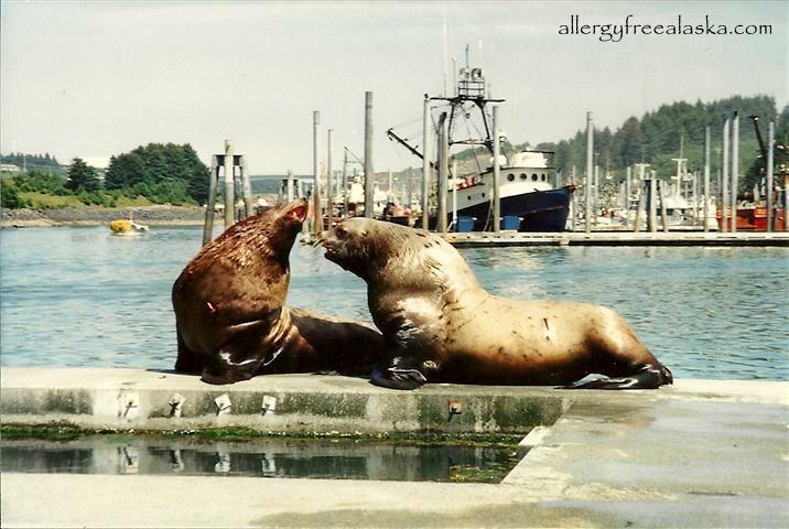 Scan_Pic0144 (Small)