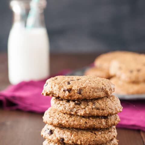 Protein Packed Monster Breakfast Cookies (grain, egg & nut free)