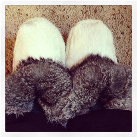 rabbit and calf skin slippers (Small)