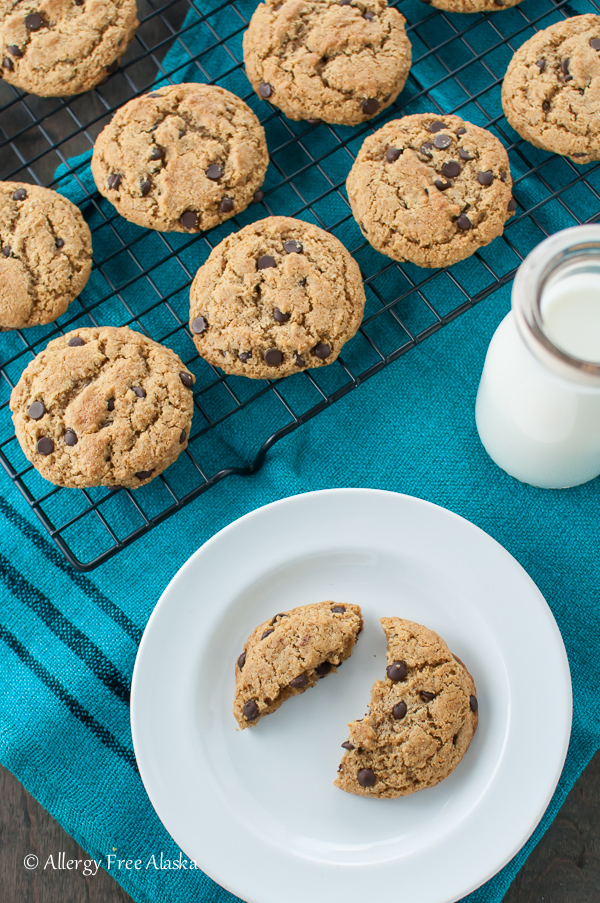 Ultimate Paleo Chocolate Chip Cookies Recipe from Allergy Free Alaska