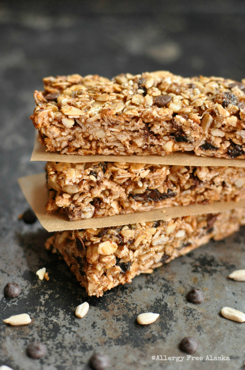 Perfect Gluten Free Granola Bars - Allergy Free Alaska