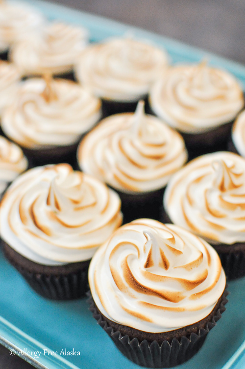 GF Chocolate Cupcakes w Toasted Marshmallow