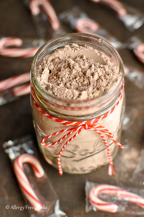Hot Chocolate Mix with Powdered Goat's Milk - Allergy Free Alaska
