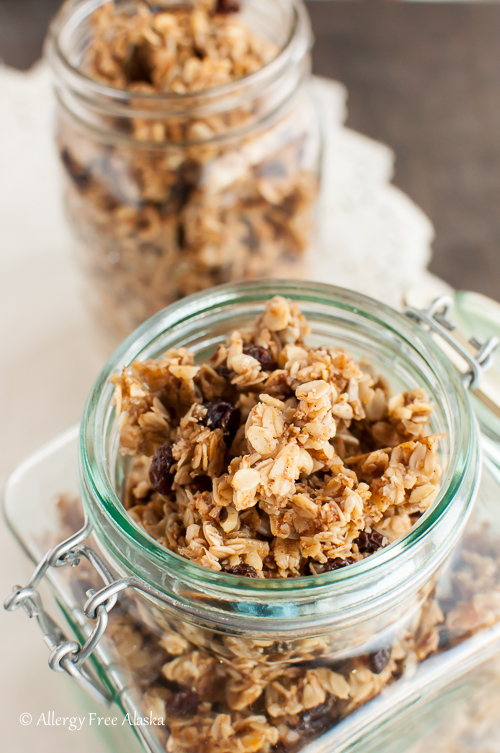 Chai Spiced Honey Granola Recipe - Allergy Free Alaska