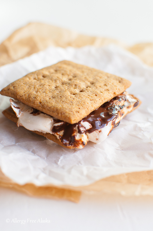 Gluten Free Smores - Allergy Free Alaska