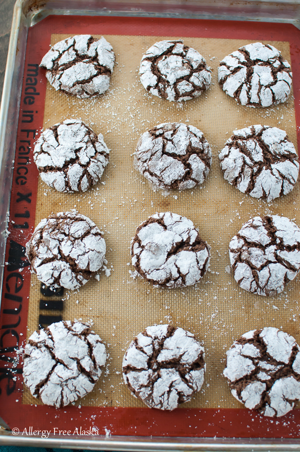 Gluten Free Dairy Free Chocolate Crinkles