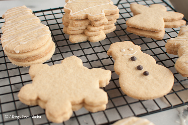 20 Best Ideas Gluten Free Dairy Free Sugar Free Cookies – Best Diet and