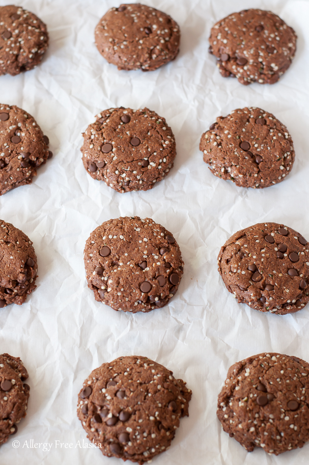 Double Chocolate Protein Cookies - paleo vegan from Allergy Free Alaska