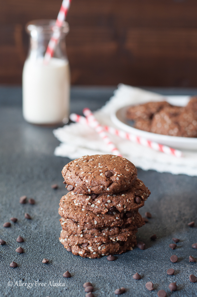 Paleo Vegan Double Chocolate Protein Cookies Recipe - Allergy Free Alaska