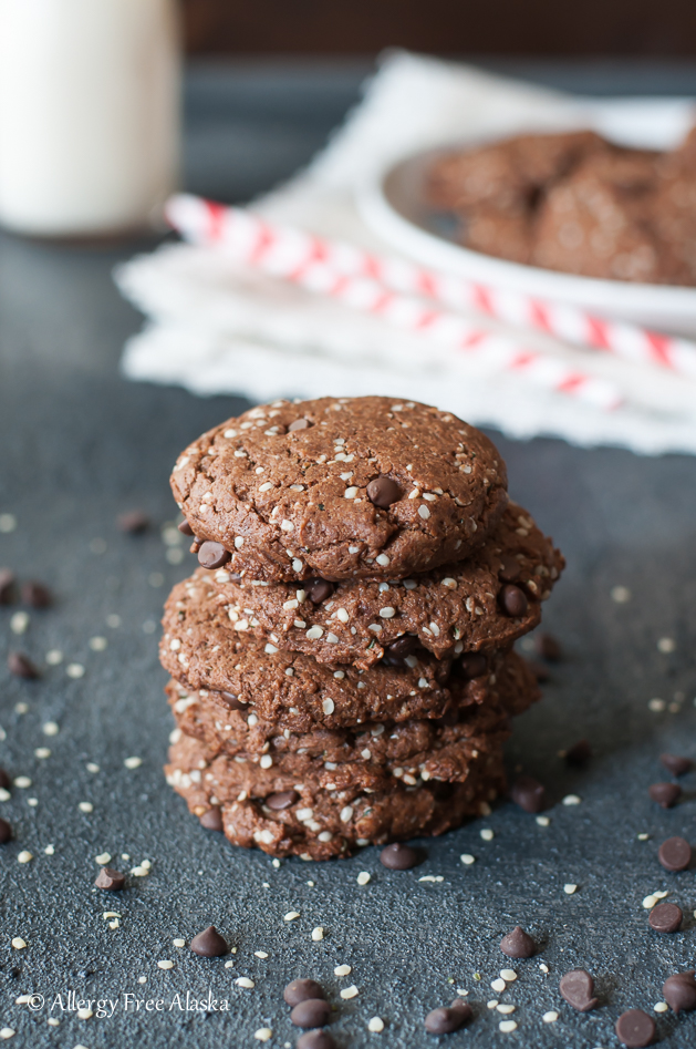 Paleo & Vegan Double Chocolate Protein Cookies Recipe from Allergy Free Alaska