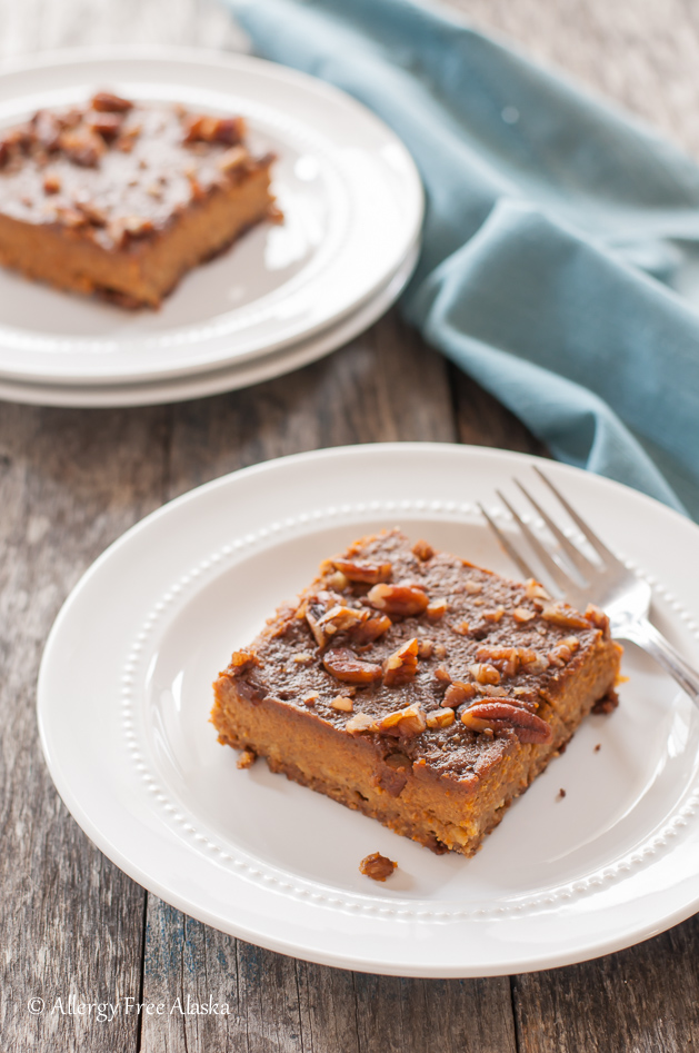 Gluten Free Dairy Free Pumpkin Pie Bars