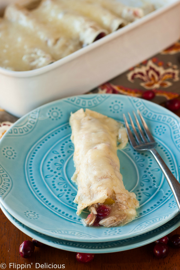 cranberry-turkey-enchiladas-4