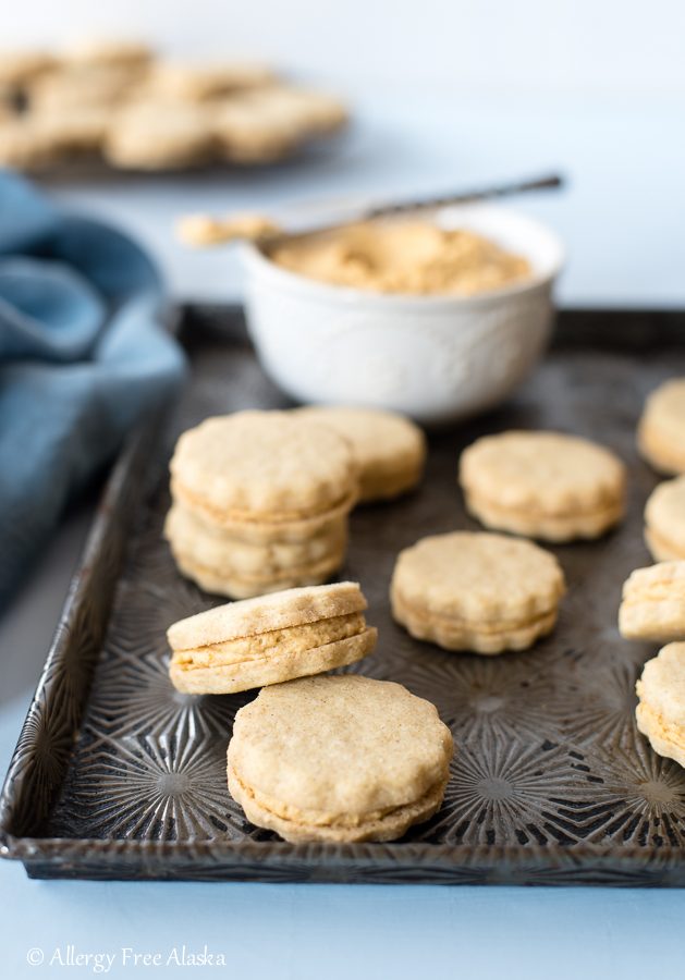 gluten free pumpkin spice sandwich cookies