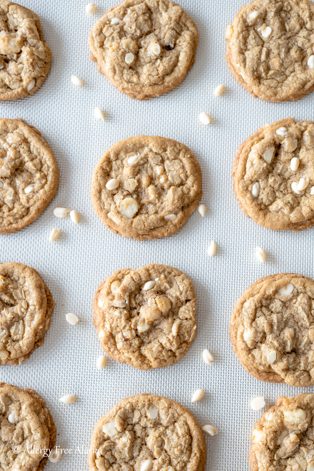 overhead shot of gluten free white chocolate macadamia nut cookies on baking sheet