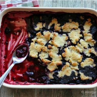 Sugar Free Triple Berry Cobbler (Grain & Nut Free)