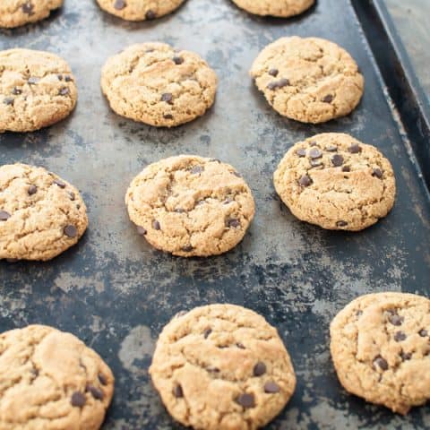 Paleo Chocolate Chip Cookies