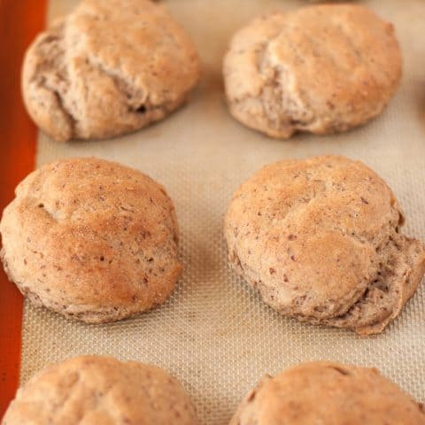 Gluten Free Rice Free Multigrain Dinner Rolls