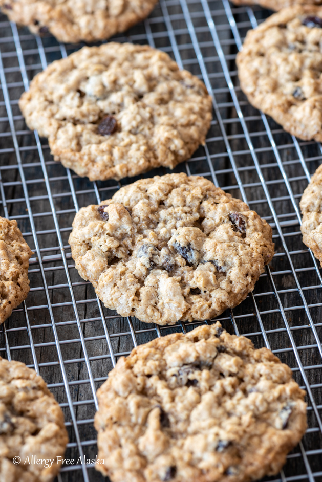 close up gluten free chocolate chip cookies sitting on cooling rack