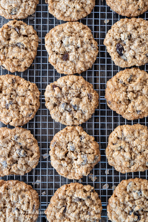 overhead shot gluten free oatmeal cookies lined up on cooling rack 