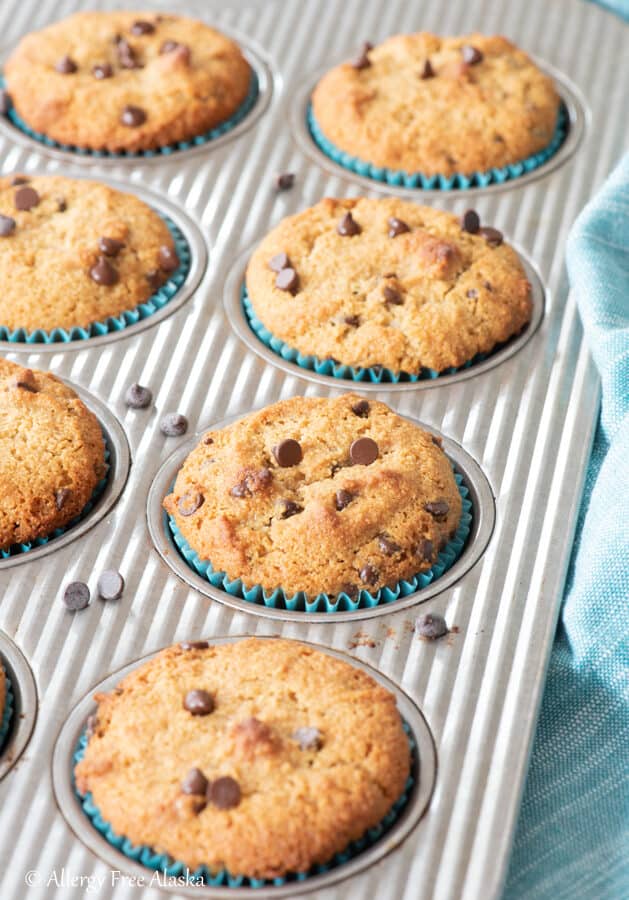 chocolate chip almond flour muffins sitting in metal muffin pan