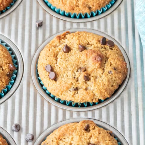 almond flour muffins with chocolate chips sitting in metal muffin pan