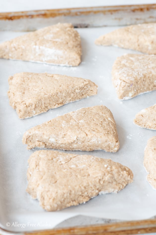 unbaked gluten free scone triangles sitting on parchment lined baking sheet