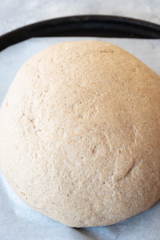 raw, risen gluten-free bread dough in ball sitting on parchment paper