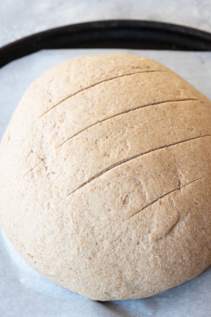 raw, risen gluten-free bread dough in ball sitting on parchment paper with score marks on top of loaf