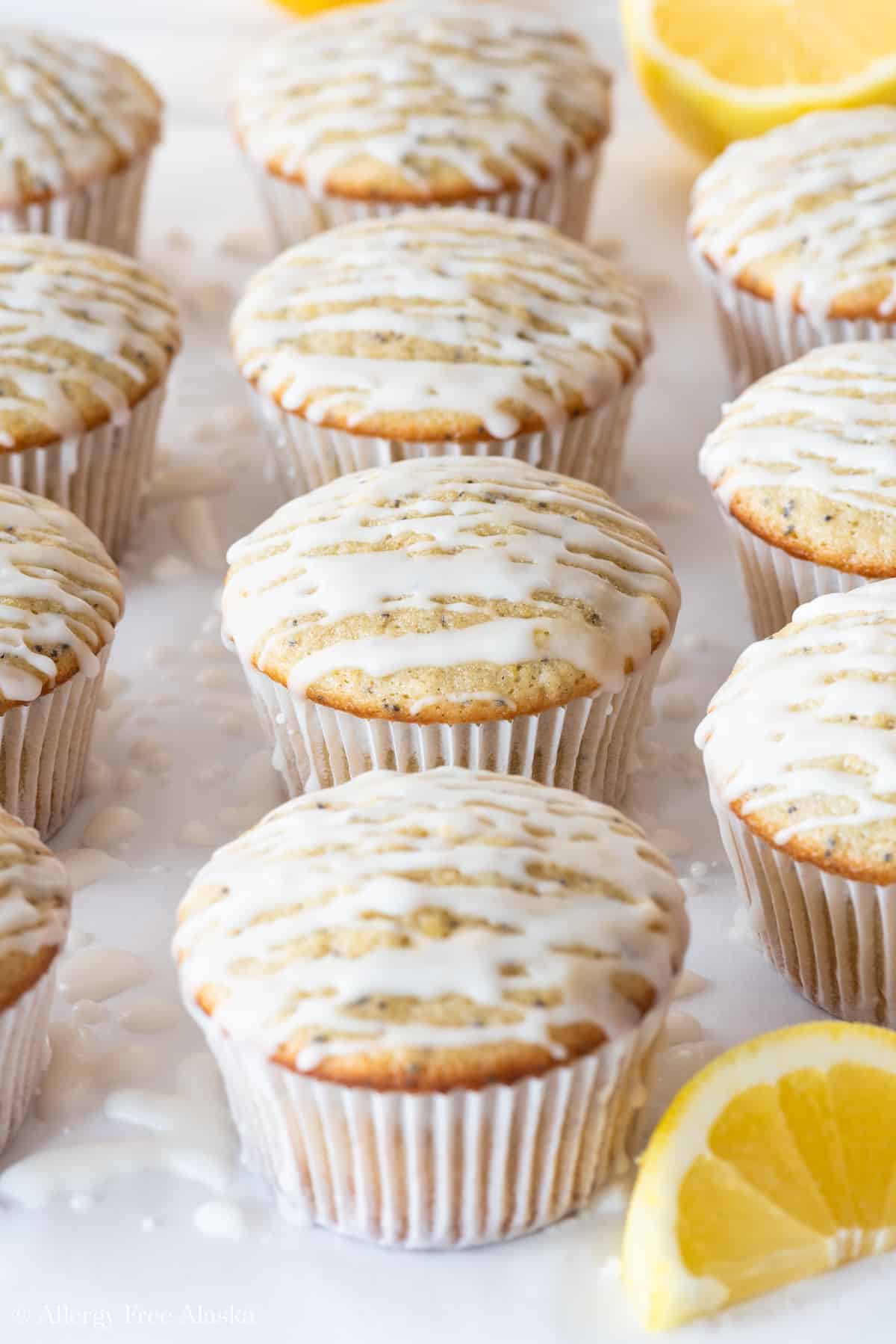 Gluten Free Lemon Poppy Seed Muffins Allergy Free Alaska